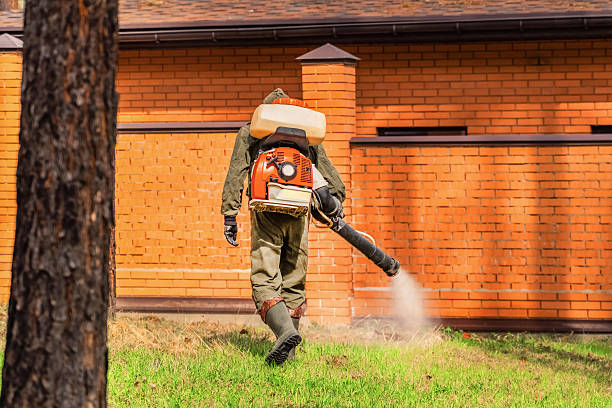 Trusted Cockroach Control service in Portland, TN - Nex Pest Control